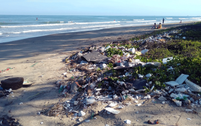 Plastic pollution a threat marine animals