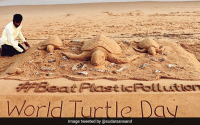 Reducing Single-Use Plastic In Honour Of World Turtle Day
