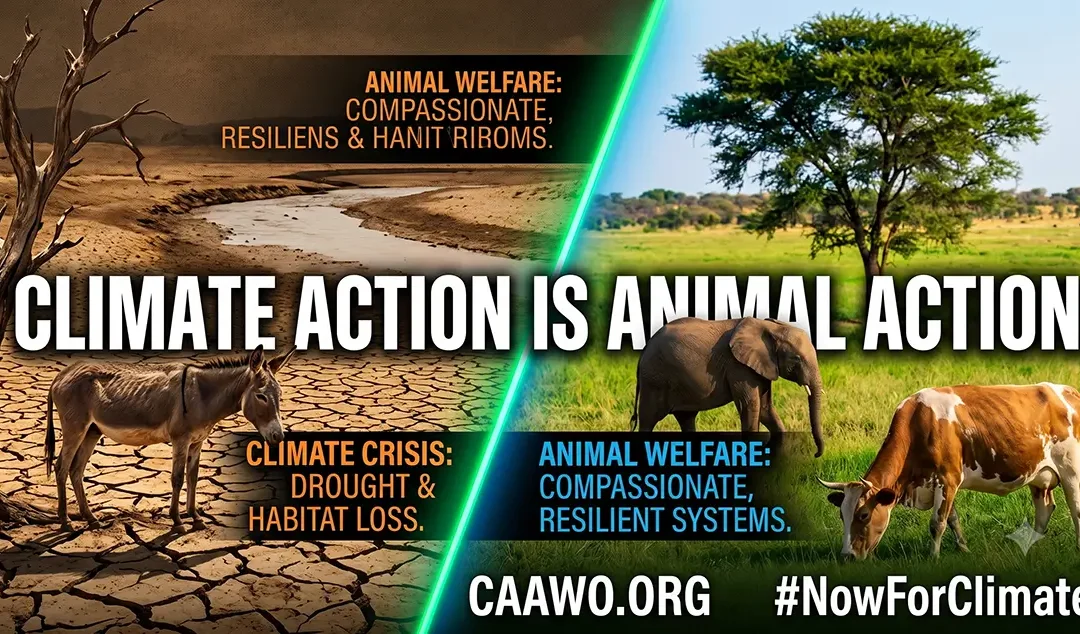Climate Action Is Animal Action: World Environment Day 2026